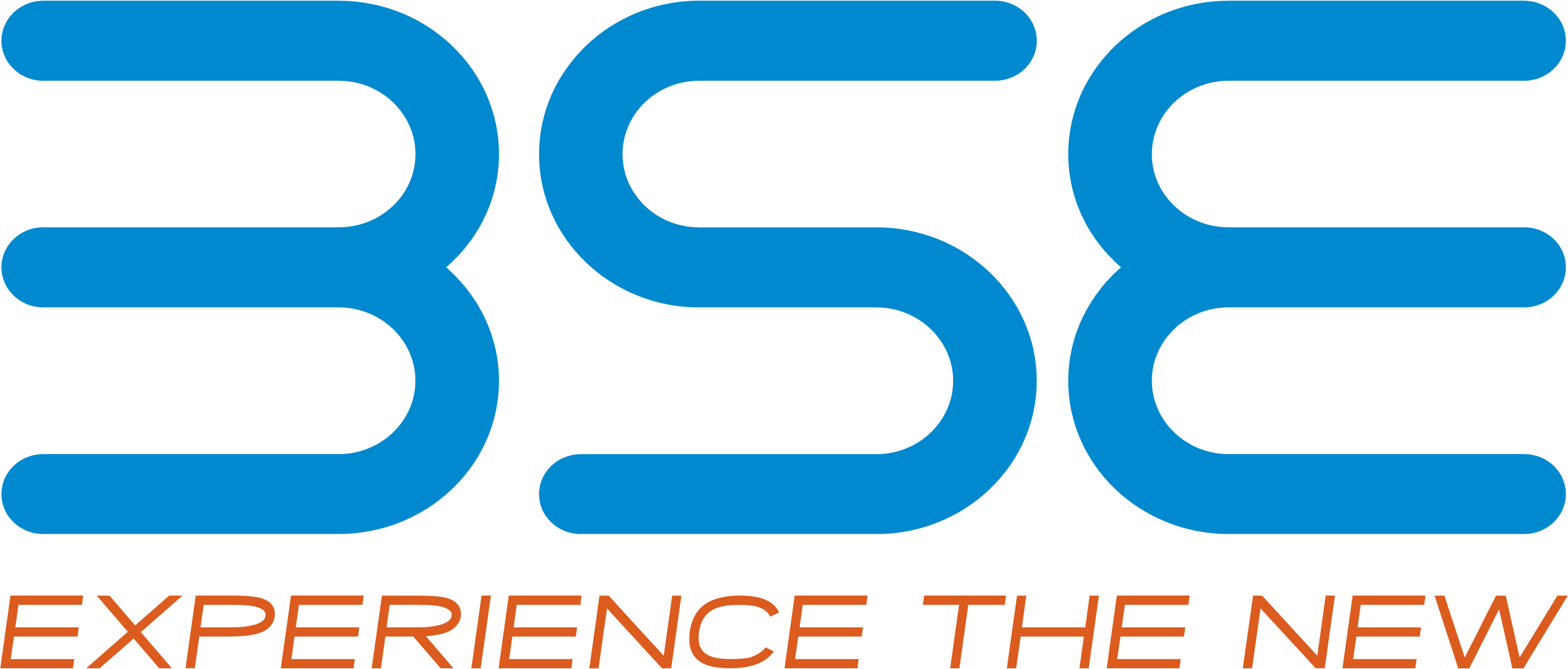 BSE Logo